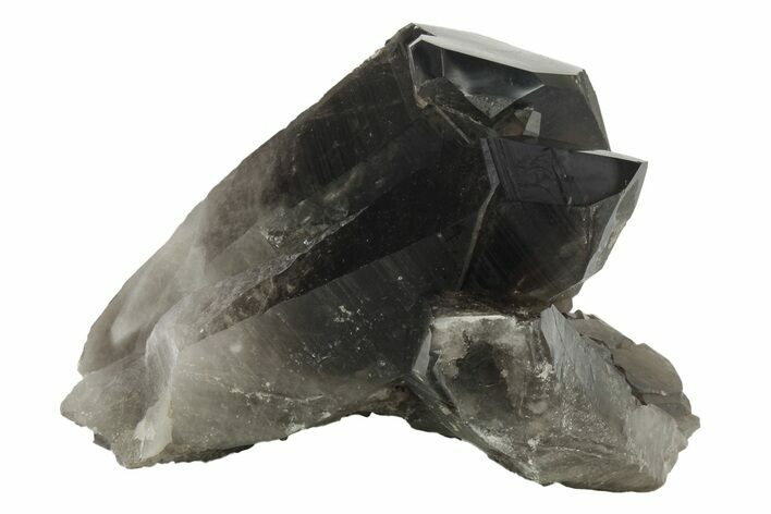 Dark Smoky Quartz Crystal Cluster - Brazil #234079